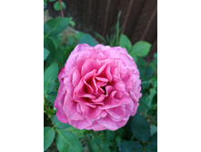 IMG 20190714 192719.jpg