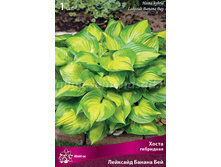 ����� ��������� �������� ������ ��� 153,0.jpeg