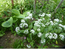 P1090116.JPG �������� ���,�������.