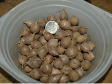 ���������.