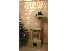 ������ "����������� ���" 150��