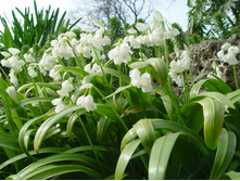 ��� ��������������.jpg