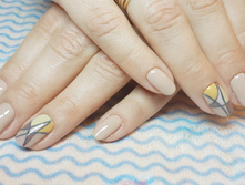 ������� ������ NVi 2019