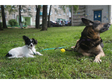 DSC01113.JPG