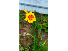 ��� ��� ��