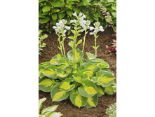 ����� ��������� ������ ����� 153 ���..jpg