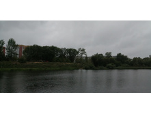 IMG 20190629 142353.jpg