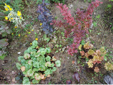 IMG 20190721 141707.jpg