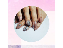 ������� ������ NVi 2019