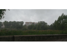 IMG 20190629 141314.jpg