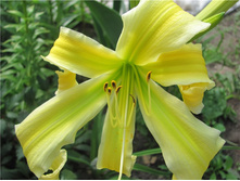 ������� ����� �� ����� �����. �����.