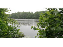 IMG 20190629 101633.jpg