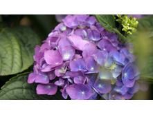 ��������� � � ������