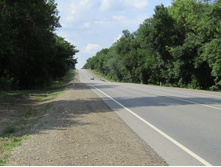 IMG 2951.JPG