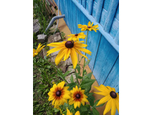 ��������. 30 �.