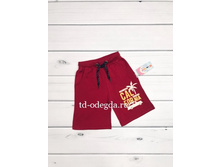 230 ��� ��� lusa ��������.jpeg