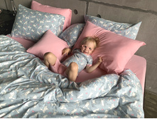 �������� ������������ ����� Bunny