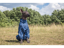 ����������� viber 2019-07-04 12-20-43.jpg