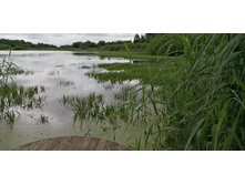 IMG 20190629 094637.jpg