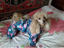 ����������� viber 2019-07-22 18-31-53.jpg