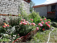 IMG 20190624 150027.jpg