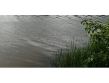 IMG 20190629 105722.jpg