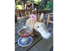 ��������� ���� ��������� ����