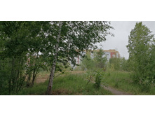 IMG 20190629 133308.jpg