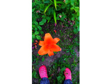 IMG 20190716 204712.jpg