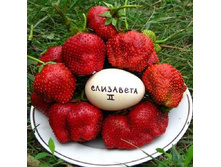 ��������� 2