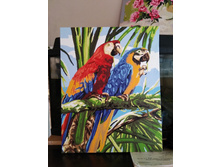 IMG 20190705 175741.jpg