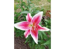 ����� ������ IMG 20190624 104236.jpg