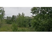 IMG 20190629 133316.jpg