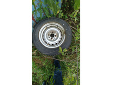 20190729 175011[1].jpg