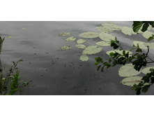 IMG 20190629 103447.jpg