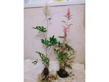 ��������. ������� ������ �� ������� (�� 100 ���.)