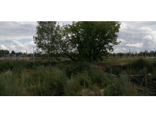 IMG 20190714 111331.jpg