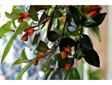 ���������� ��������� - �/� 100 ���.