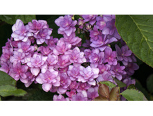 ��������� You Me Love