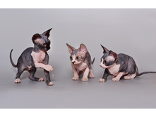 ������������