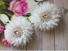 IMG 20190720 113802.jpg