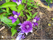 IMG 20190630 175956.jpg