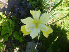 P1090150.JPG ��������� ����.