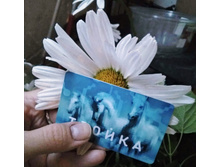 ������ ������