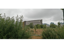 IMG 20190629 144355.jpg