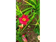 IMG 20190718 104533.jpg