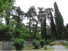 ��� �������