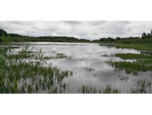 IMG 20190629 094601.jpg