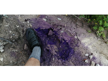 IMG 20190714 111209.jpg