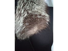 15. �������� ����������, ���������, 250 ���.